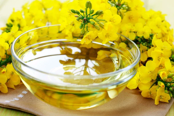 Which Country Produces the Most Rapeseed Oil in the World?